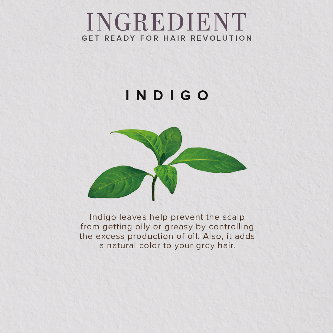 Organic Indigo Leaf Powder - 100% Natural-100 g (Buy 3 Products & Get Rs.300 Off)