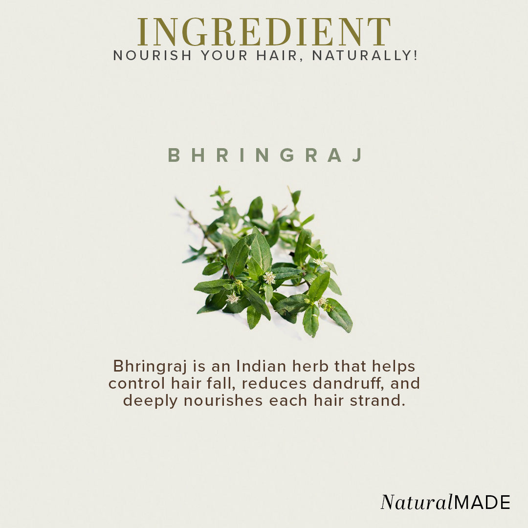 Bhringraj Hair Oil for Hair Fall Paraben & Silicone-Free -210ml (Pack of 2) (Buy 3 Products & Get Rs.300 Off)