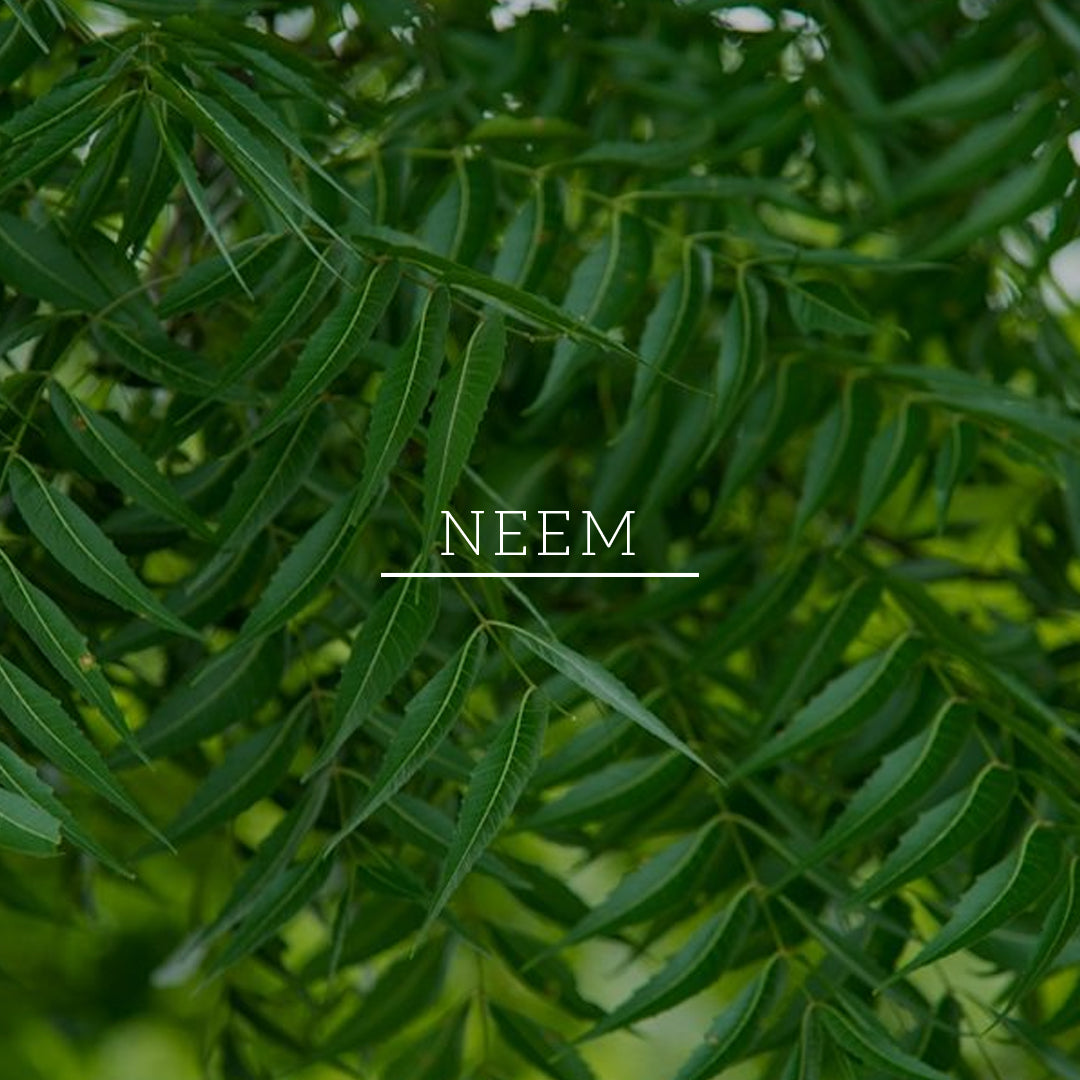 Khadi Natural Neem & Aloe Vera Hair Mask - Paraben, Silicones, Sulphate & Color Free-200 g
